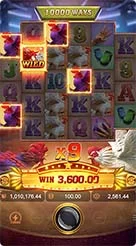cun99 · Rooster Rbl